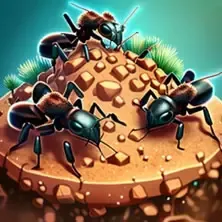 Ant colony