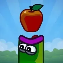 Apple maggot