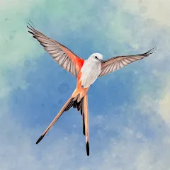 Wingspan: El Juego de Mesa